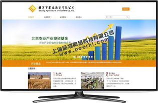 松江地區(qū)網(wǎng)站服務(wù)全攻略 從設(shè)計、改版到維護(hù)與咨詢