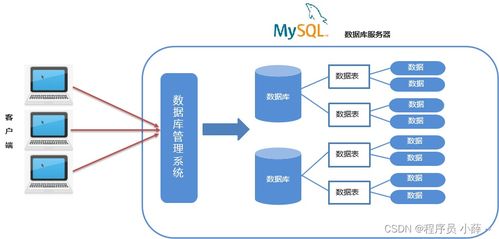 MySQL核心概念與IDEA連接實(shí)踐 從SQL語法分類到數(shù)據(jù)庫(kù)設(shè)計(jì)規(guī)范